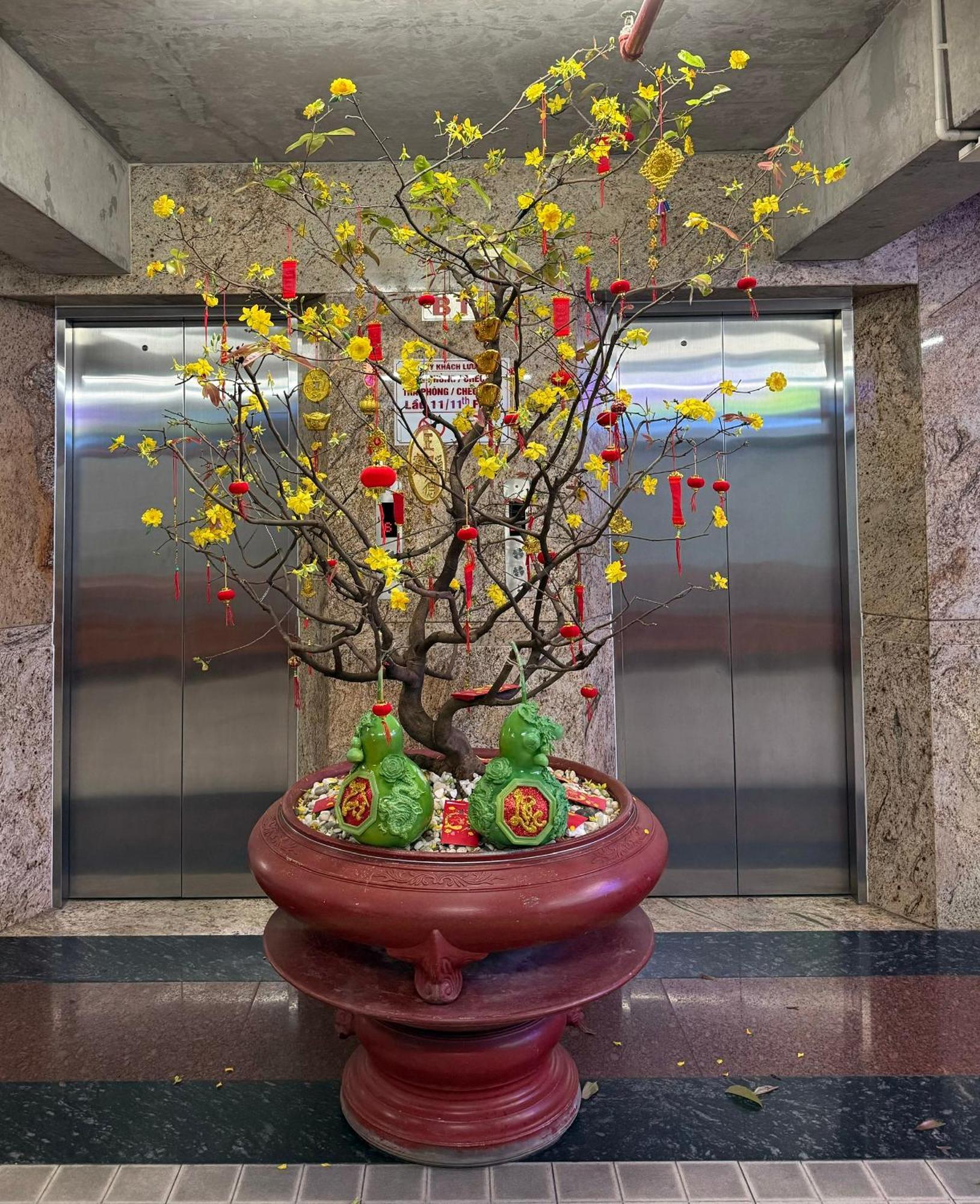 Thien Tai Hotel Cidade de Ho Chi Minh Exterior foto
